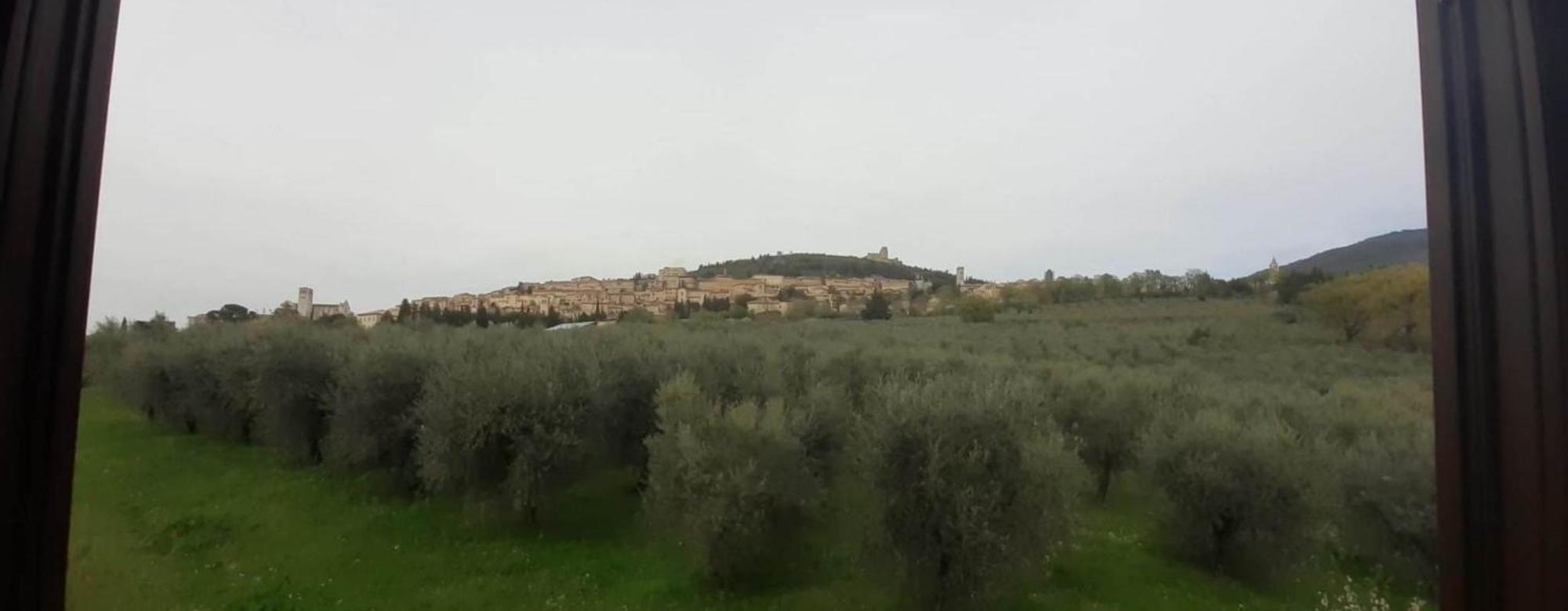 Appartamenti Cardinali Assisi Eksteriør billede